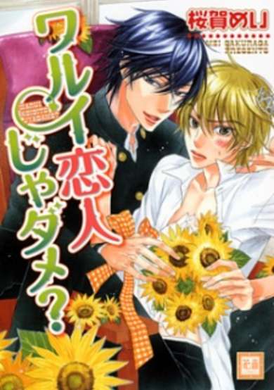 Copertina di Warui Koibito ja Dame?