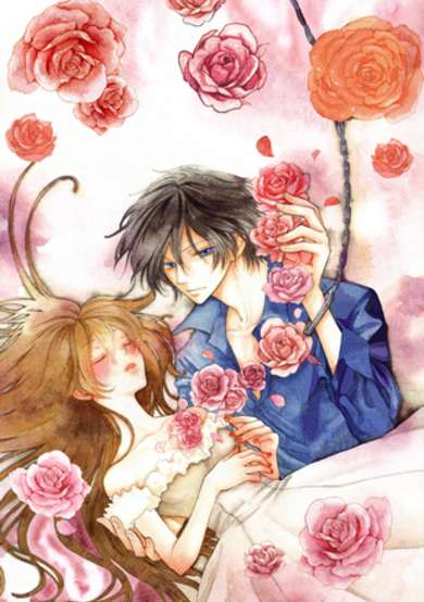 Copertina di The Flower Thief
