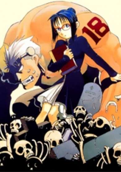 Copertina di Raiden-18