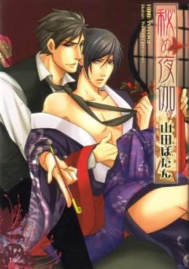 Copertina di Hidden Watcher