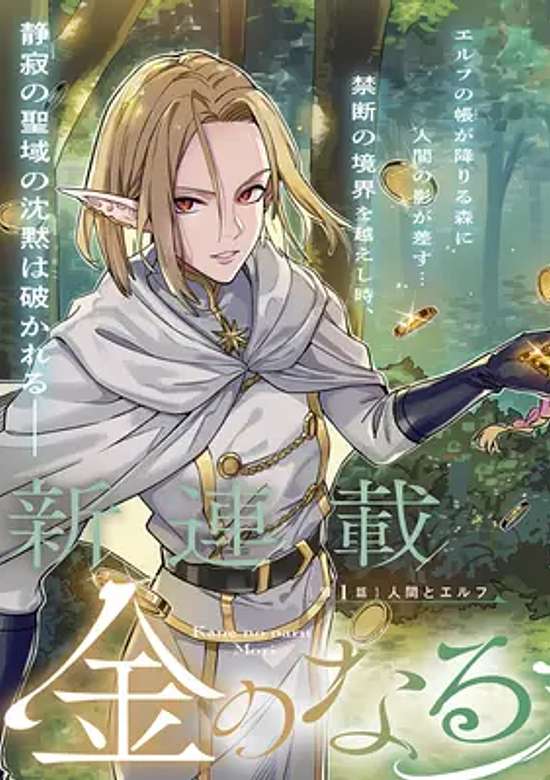 Copertina di Money Forest