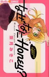 Copertina di Why What Honey?