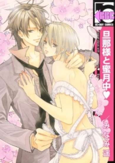 Copertina di Husband, Honeymoon