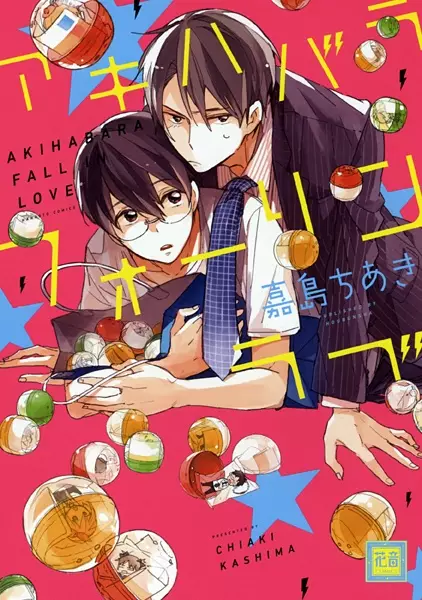 Copertina di Akihabara Fall In Love