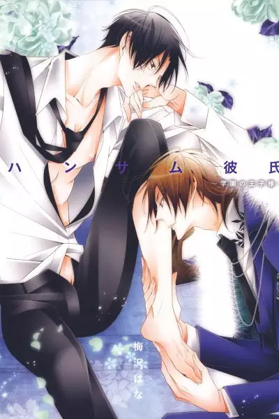 Copertina di Handsome Kareshi: Gakuen no Oujisama