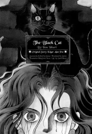 Copertina di The Black Cat