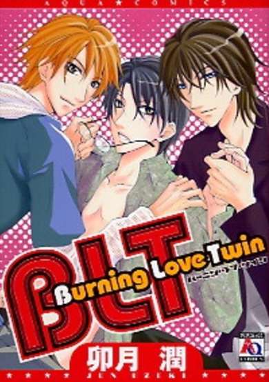 Copertina di BLT Burning Love Twin
