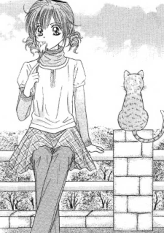 Copertina di Travel To The Cats' Territory