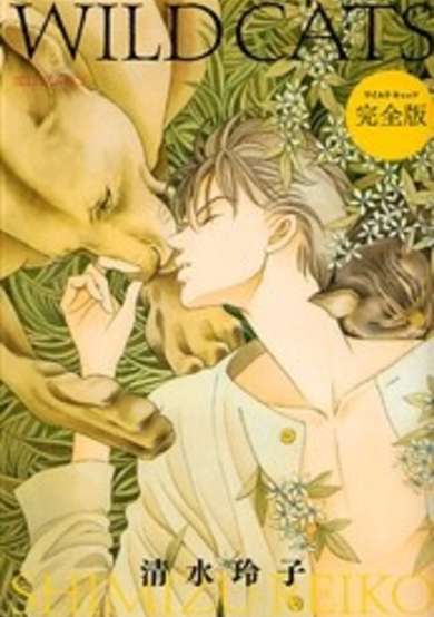 Copertina di Wild Cats