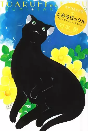 Copertina di Toaru Hi no Kuru