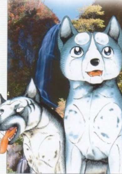Copertina di Ginga Legend Weed