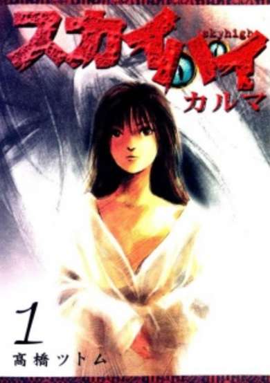 Copertina di Skyhigh: Karma