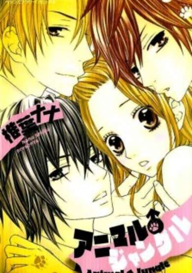 Copertina di Animal♂Jungle