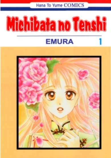 Copertina di The Roadside Angel