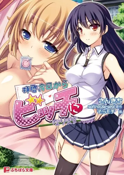 Copertina di Haikei, Kyou kara Bitch ni Narimasu