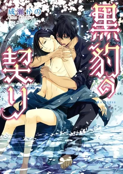 Copertina di Kurohyou no Chigiri