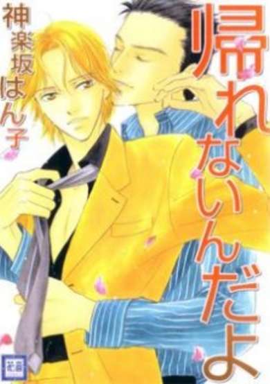 Copertina di Kaerenai n da yo
