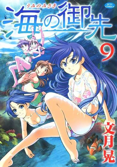 Copertina di Umi no Misaki