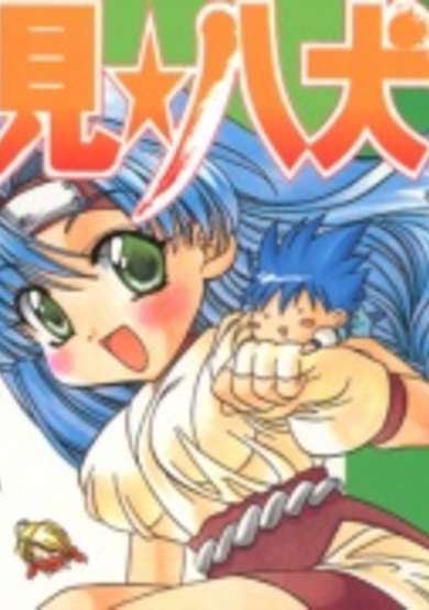 Copertina di Satomi☆Hakkenden