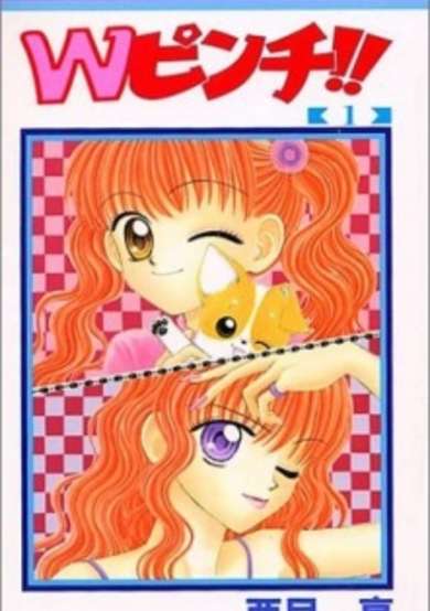 Copertina di W-Pinch!!
