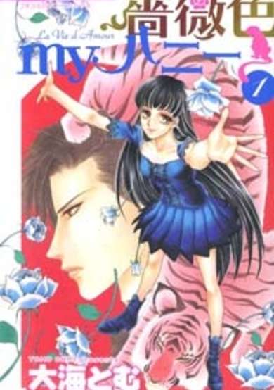 Copertina di Barairo My Honey