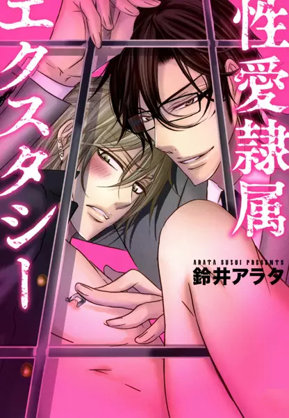 Copertina di Seiai Reizoku Ecstasy
