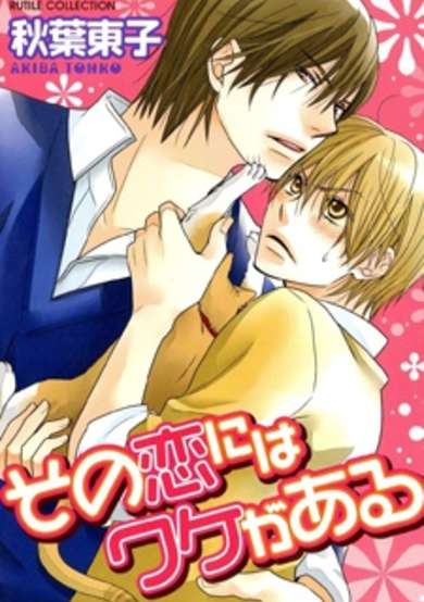 Copertina di Sono Koi ni wa Wake ga Aru