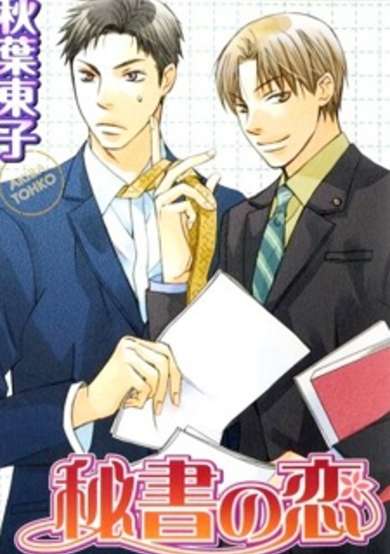 Copertina di A Secretary's Love